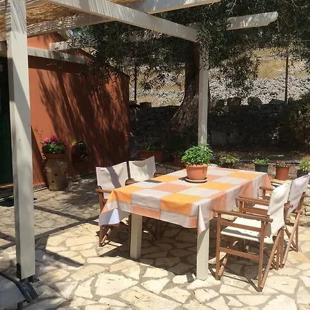 Paxos Bonzai 盖奥斯